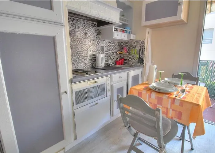 Confort, Parking Prive, Terrasse Et * Antibes